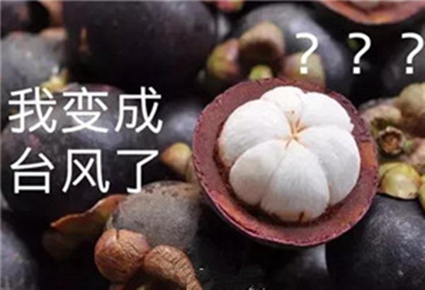 “山竹”還未走遠，但貝朗全自動彎線機已正常上班啦！